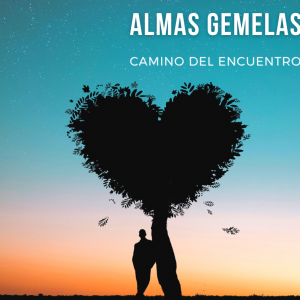 Almas Gemelas